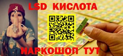стаф Славгород
