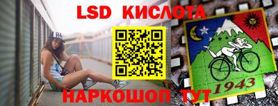 стаф Славгород