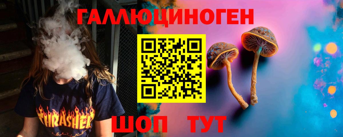 Галлюциногенные грибы прущие грибы Брянск